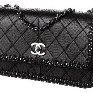 ❤️SOLD❤️CHANEL PYTHON SNAKESKIN MEDIUM FLAP BAG W/ CROCHET SIDES